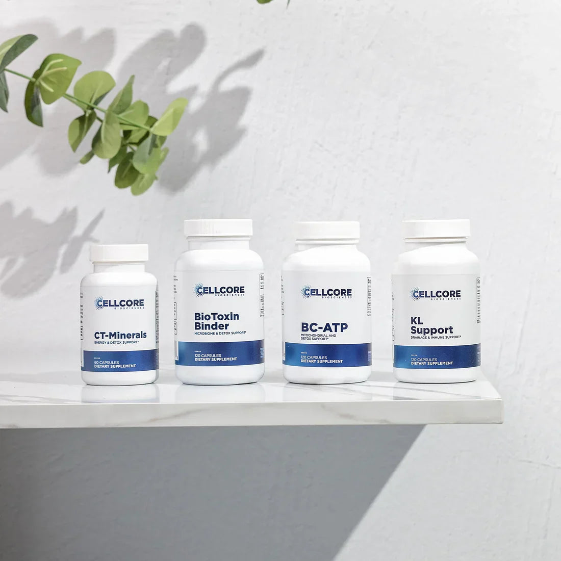 Jumpstart Kit CellCore TRS Detox