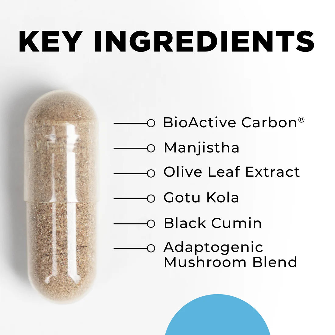 Key Ingredients Drainage Activator CellCore TRS Detox