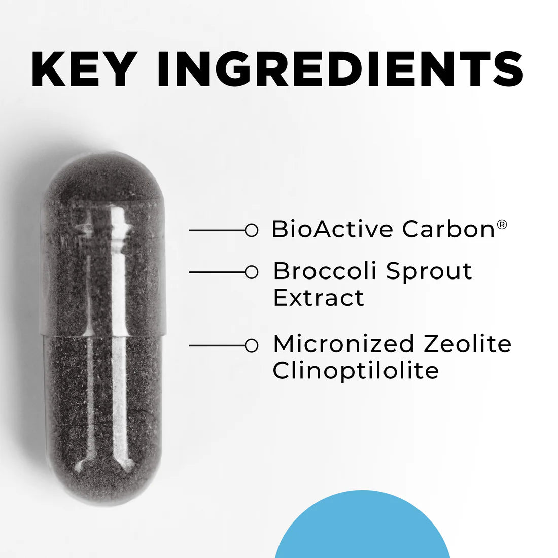 Key Ingredients HM-ET Binder CellCore TRS Detox