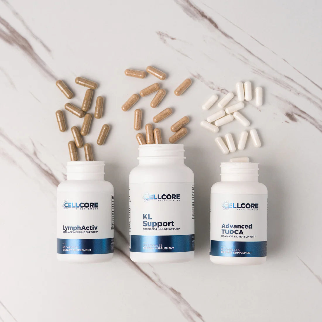 Mock-up Liver Support Kit Cellcore TRS Detox