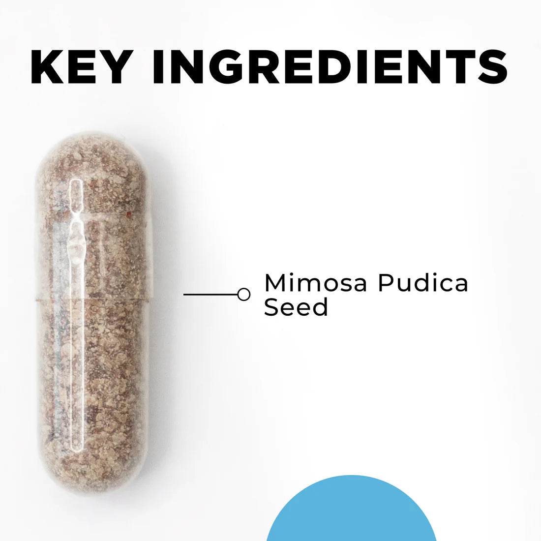 Key Ingredients Para 1 CellCore TRS Detox