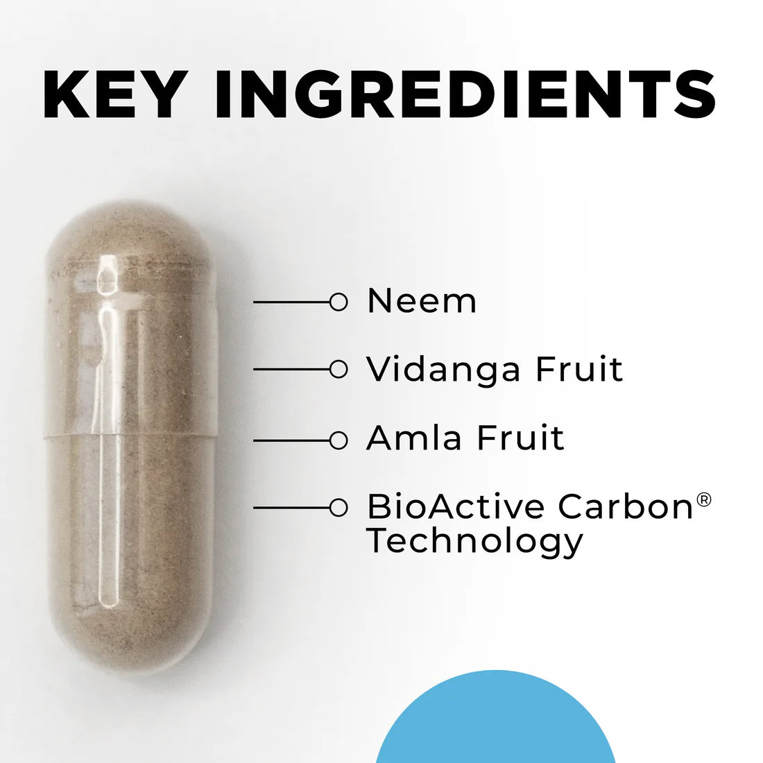 Key Ingredients Para 2 CellCore TRS Detox