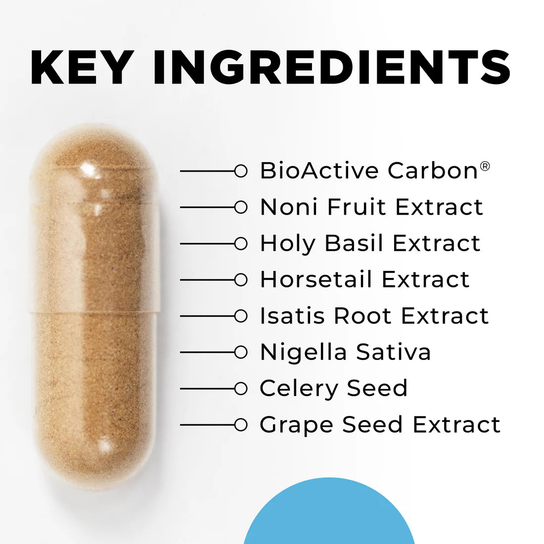 Key Ingredients Para 4 CellCore TRS Detox