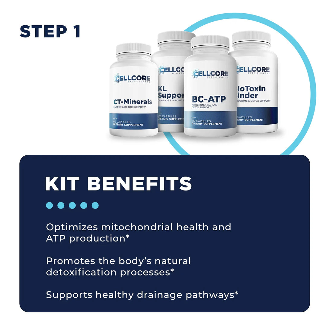Step one Benefits Foundational Protocol CellCore TRS Detox