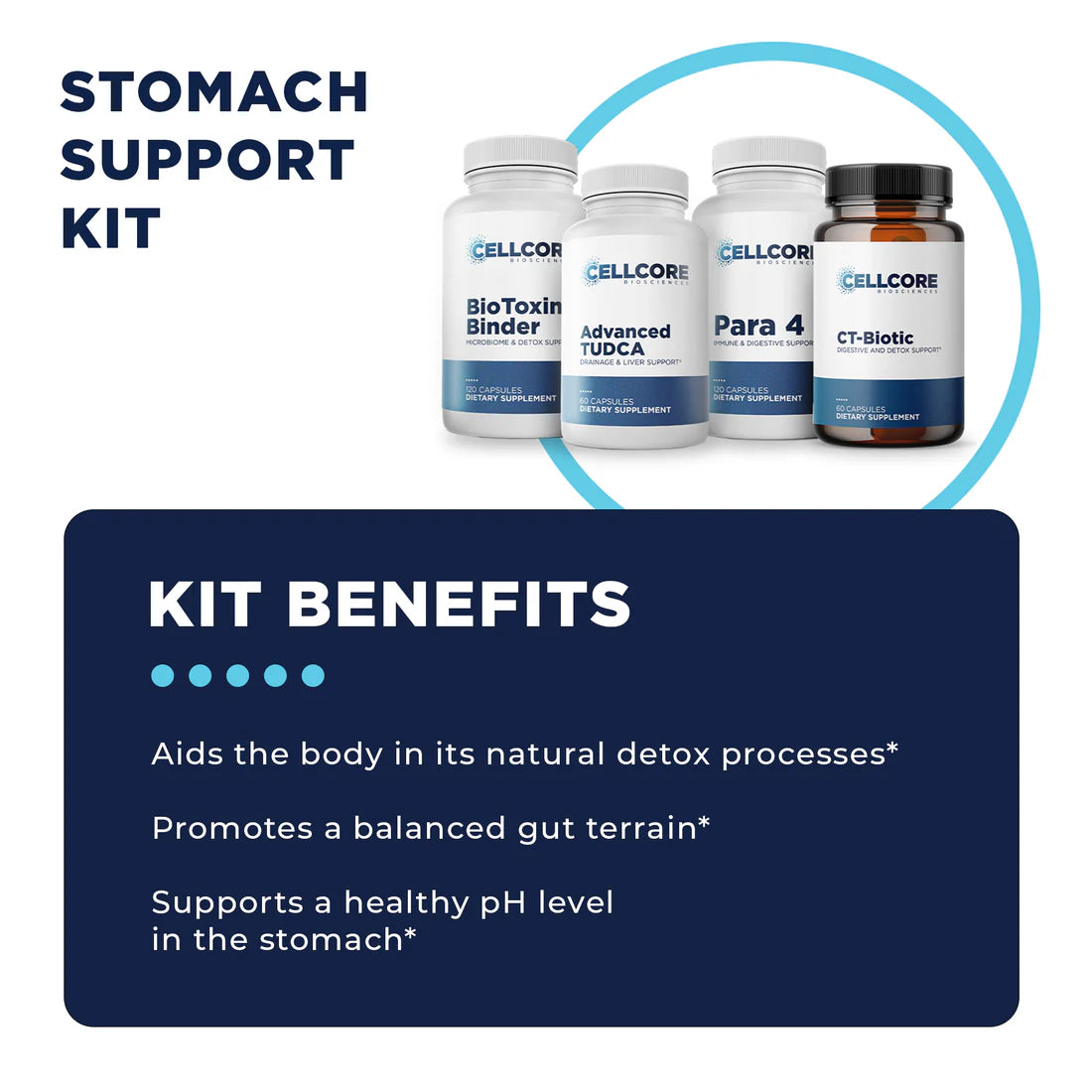 Stomach Support Protocol